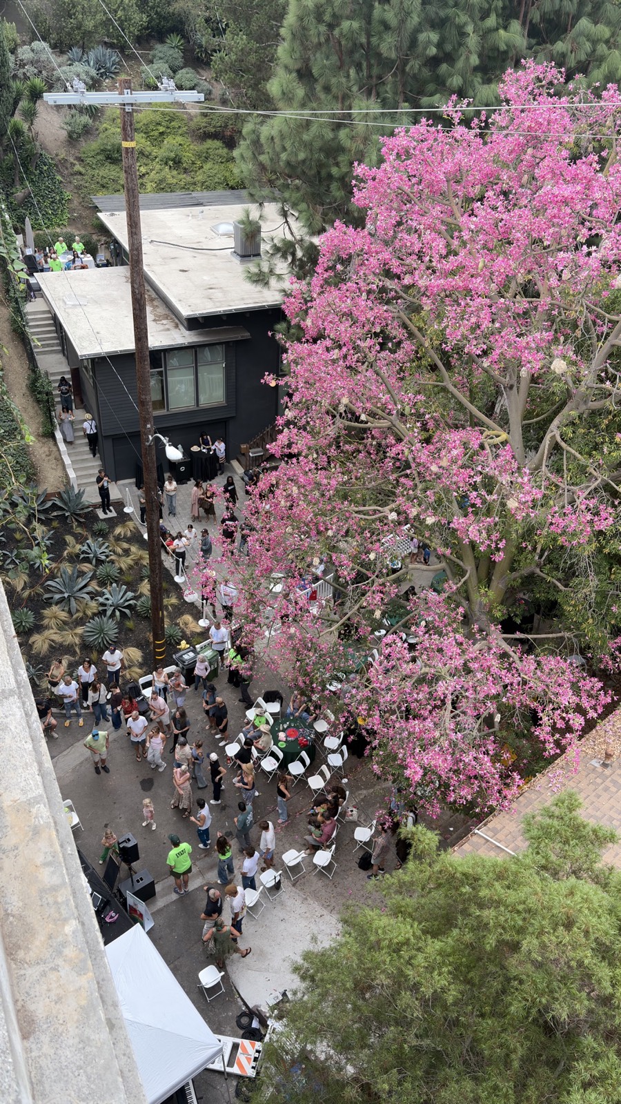 Looking down from the Shakespeare Bridge at the block party on Monon Street